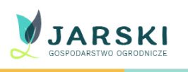 jodła kaukaska